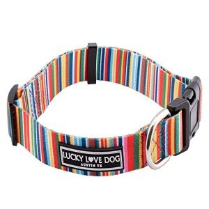 Rainbow Stripes Dog Collar for Small Dogs