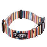 Rainbow Stripes Dog Collar for Small Dogs