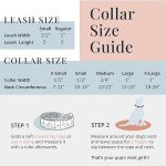 Rainbow Stripes Dog Collar for Small Dogs