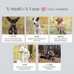 Rainbow Stripes Dog Collar for Small Dogs