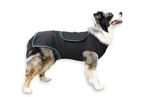 Calming Anxiety Shirt for Dogs - Small Size