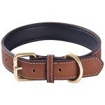 Comfortable Leather Dog Collar for All Breeds