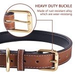 Comfortable Leather Dog Collar for All Breeds