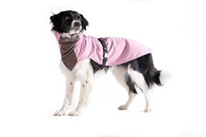 Goldpaw Insulated Lilac Dog Coat - Size 14