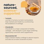 Seraquin Joint Support Chewables for Dogs and Cats