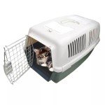 Large Portable Pet Carrier for Small Dogs & Cats