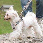YUDOTE Plaid Dog Harness and Lead Set