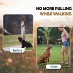 Los Andes Metal Martingale Dog Training Collar