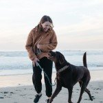 Los Andes Metal Martingale Dog Training Collar