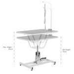 Hydraulic Adjustable Dog Grooming Table by KCT