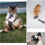 Self-Cleaning Slicker Brush for Dogs and Cats