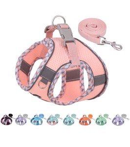Pink No-Pull Dog & Cat Harness with Leash