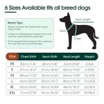 Cozy Christmas Red Dog Sweater - Medium & Large