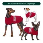 Cozy Christmas Red Dog Sweater - Medium & Large