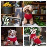 Cozy Christmas Red Dog Sweater - Medium & Large