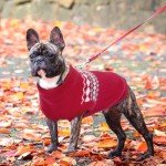 Cozy Christmas Red Dog Sweater - Medium & Large