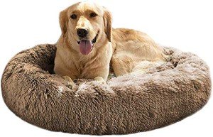 Cozy Round Plush Dog Beds for All Sizes