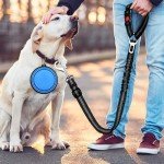 Adjustable Dog Car Seat Belt with Safety Clip