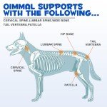 Beef Flavor Joint Support Drops for Dogs - 60 ml