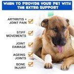 Beef Flavor Joint Support Drops for Dogs - 60 ml