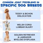 Beef Flavor Joint Support Drops for Dogs - 60 ml