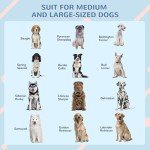 Weather-Resistant Dog House for Large Dogs - Blue