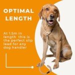 Deluxe Natural Gundog Rope Slip Lead for Dogs