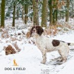 Deluxe Natural Gundog Rope Slip Lead for Dogs