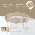 Soft Adjustable Dog Collar with Safety Buckle - Beige