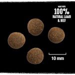 Crave Grain-Free High Protein Lamb & Beef Dog Food