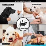 Adjustable Dog Grooming Harness and Restraint Strap