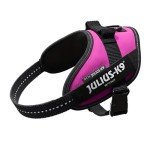 Julius-K9 Mini Dark Pink Powerharness for Dogs