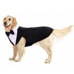 Large Dog Formal Tuxedo Costume & Bandana