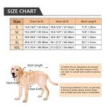 Large Dog Formal Tuxedo Costume & Bandana