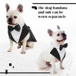Large Dog Formal Tuxedo Costume & Bandana