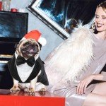 Large Dog Formal Tuxedo Costume & Bandana