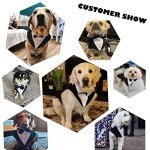 Large Dog Formal Tuxedo Costume & Bandana