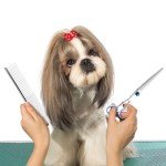 5-in-1 Stainless Steel Dog Grooming Scissors Set