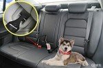2-Pack Heavy Duty Dog Seat Belts for Car