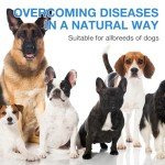 Natural Kennel Cough Drops for Dogs - 60ml