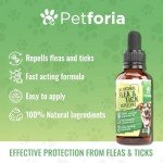 Natural Flea and Tick Treatment for Dogs