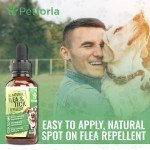 Natural Flea and Tick Treatment for Dogs