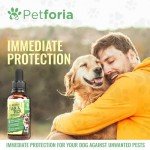 Natural Flea and Tick Treatment for Dogs
