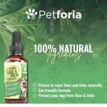 Natural Flea and Tick Treatment for Dogs
