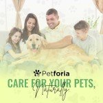 Natural Flea and Tick Treatment for Dogs