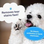 Petpost Natural Tear Stain Remover for Dogs
