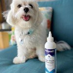 Petpost Natural Tear Stain Remover for Dogs