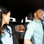 Portable Dog Booster Car Seat with Safety Leash