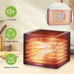 Biolomix 6-Tray Food Dehydrator for Dog Treats