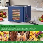 Biolomix 6-Tray Food Dehydrator for Dog Treats
